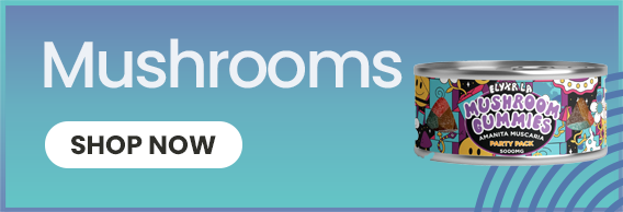 Mushroom Products